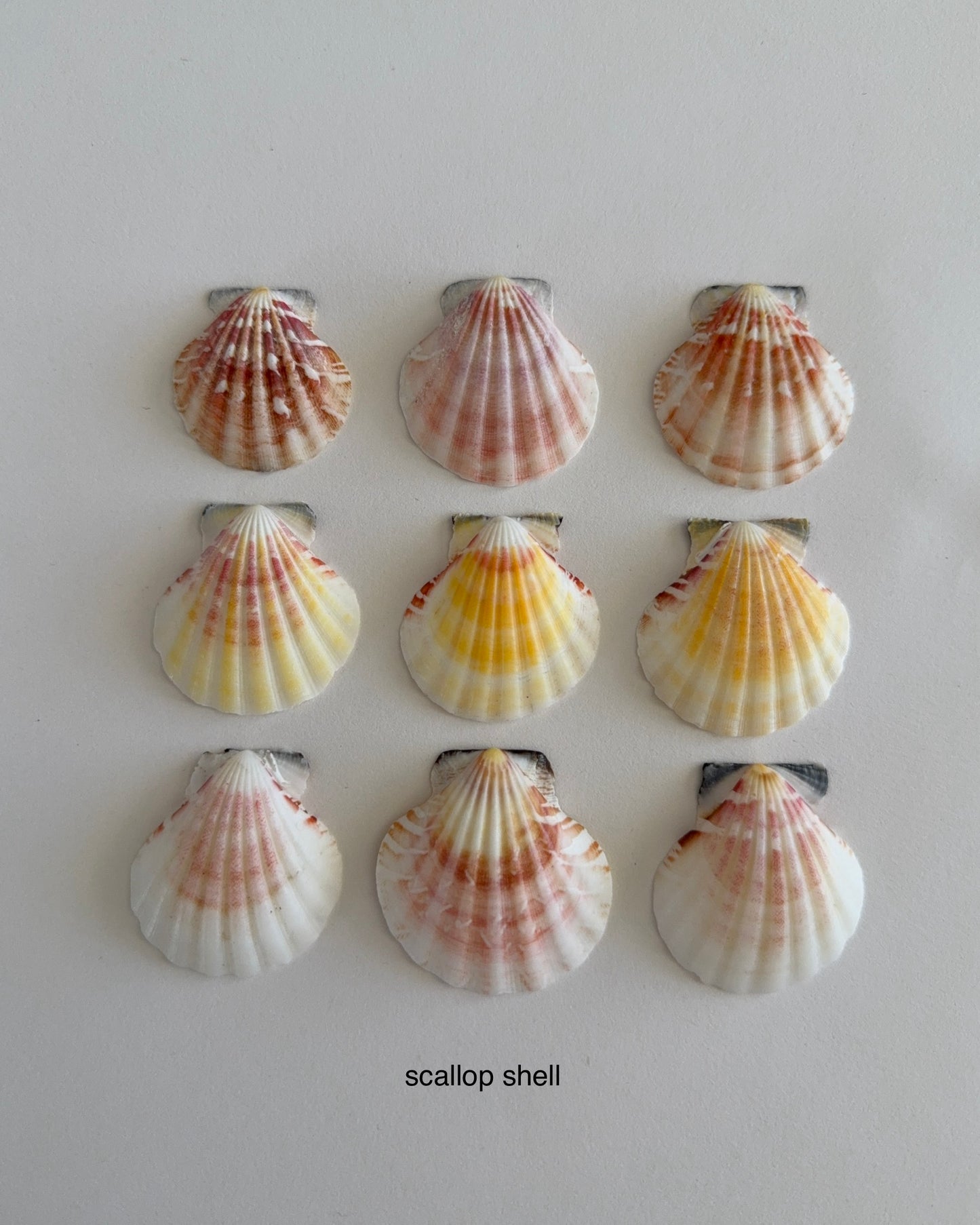 By The Sea Necklace