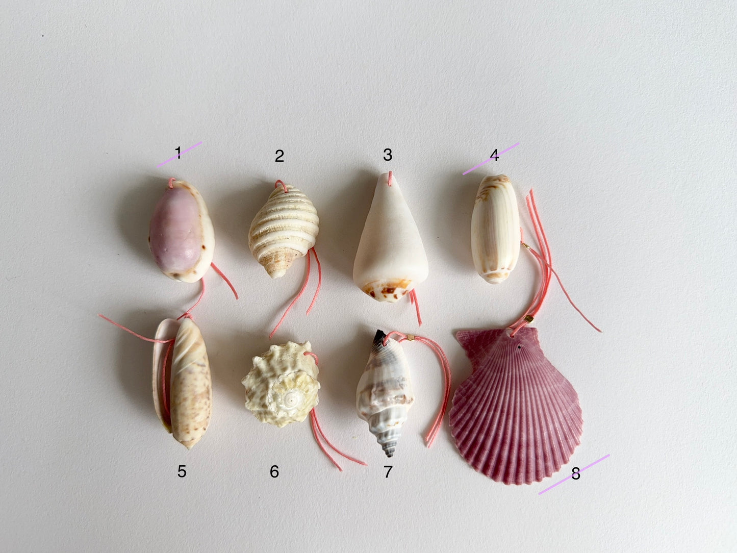 By the Sea Necklace ~ Chosen Shell Editions