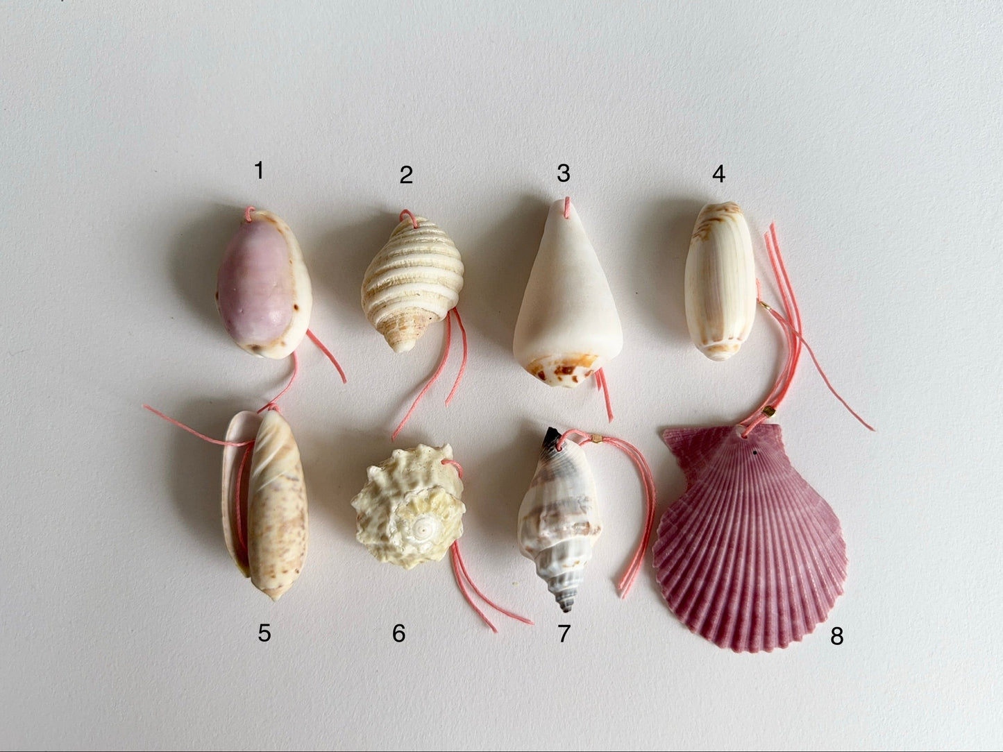 By the Sea ~ Chosen Shell Editions